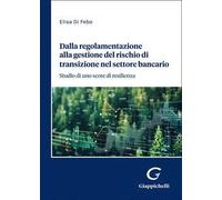 Dalla regolamentazione alla gestione del rischio di transizione nel settore bancario. Studio di uno score di resilienza