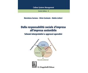 Dalla responsabilità sociale d'impresa all'impresa sostenibile. Schemi interpretativi e approcci operativi