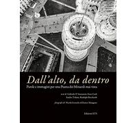 Dall'alto, da dentro. Parole e immagini per una Piazza dei Miracoli mai vista. Ediz. illustrata