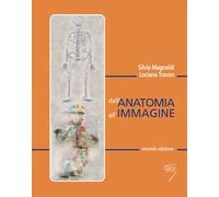 Dall'anatomia all'immagine