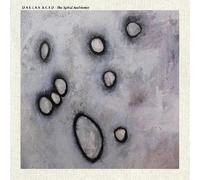 Dallas Acid The Spiral Ambience (CD)