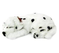 Dalmation Animated Pet