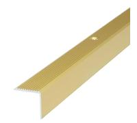 Dalsys Profilo per bordo scala 100cm x 20mm x 20mm Oro alluminio | Profilo paraspigoli per gradini, antiscivolo, montaggio a vite, protezione del passo