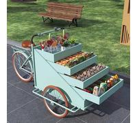 Dalumian Camion triciclo mobile per merci, carrello triciclo per vendita ambulante, carrello portatile per bancarelle del mercato, espositore a 4 strati, chiosco per vendita di alimenti(Green)