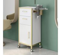 Dalumian Carrelli per parrucchieri, carrello per salone con ruote, carrello portautensili multiuso con porta asciugacapelli, 1 ampio armadio portaoggetti e 2 cassetti, senza installazione(B)