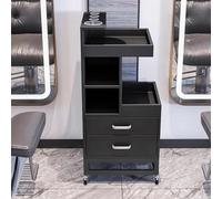 Dalumian Carrello per salone con 4 ruote, postazione mobile per salone, carrello medico, organizer per attrezzi da barbiere con porta asciugacapelli e 2 cassetti, custodia per trucco mobile(C)