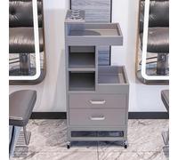 Dalumian Carrello per salone con 4 ruote, postazione mobile per salone, carrello medico, organizer per attrezzi da barbiere con porta asciugacapelli e 2 cassetti, custodia per trucco mobile(A)