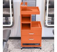 Dalumian Carrello per salone con 4 ruote, postazione mobile per salone, carrello medico, organizer per attrezzi da barbiere con porta asciugacapelli e 2 cassetti, custodia per trucco mobile(E)