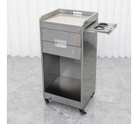 Dalumian Carrello per salone con ruote, postazione per lo styling dei capelli con 2 cassetti, carrello mobile per estetica con porta asciugacapelli, vano portaoggetti con serratura (argento)