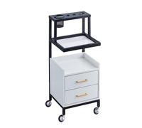 Dalumian Mobiletto portaoggetti per barbiere a 2 cassetti, organizer per parrucchieri con 4 ruote, carrello mobile per il viso a più livelli con porta asciugacapelli, carrello per parrucchiere(D)