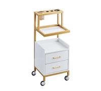 Dalumian Mobiletto portaoggetti per barbiere a 2 cassetti, organizer per parrucchieri con 4 ruote, carrello mobile per il viso a più livelli con porta asciugacapelli, carrello per parrucchiere(C)