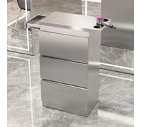 Dalumian Mobiletto portaoggetti per salone di bellezza, cassettiera per estetista con porta asciugacapelli e 4 cassetti, postazione per strumenti da parrucchiere per spa, barbiere(Silver)