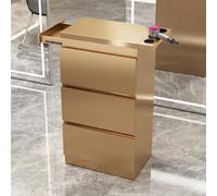 Dalumian Mobiletto portaoggetti per salone di bellezza, cassettiera per estetista con porta asciugacapelli e 4 cassetti, postazione per strumenti da parrucchiere per spa, barbiere(Gold)