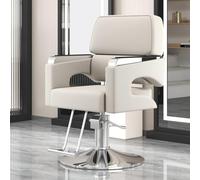 Dalumian Poltrona idraulica per salone o barbiere, girevole a 360° | Ideale per parrucchieri, centri estetici, studi di tatuaggi e spa (altezza regolabile: 84-94 cm)(Gray-white)