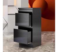 Dalumian Postazioni per lo styling dei capelli da barbiere, mobile indipendente per postazione da salone, cassetta degli attrezzi in acciaio inossidabile con cassetti(Black,2-drawer)