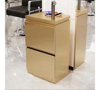 Dalumian Postazioni per lo styling dei capelli da barbiere, mobile indipendente per postazione da salone, cassetta degli attrezzi in acciaio inossidabile con cassetti(Gold,2-drawer)