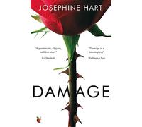 Damage: INSPIRATION FOR THE NETFLIX SERIES OBSESSION