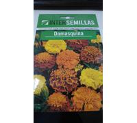 Damasquina Fuego 350 Circa. Semi Di Tagetes Patula In Busta Sigillata