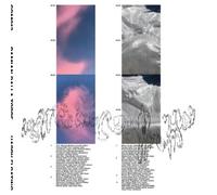 Damian Dalla Torre Happy Floating (Vinyl LP) 12" Album