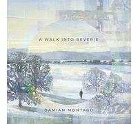 Damian Montagu - Walk Into Reverie