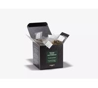 DAMMANN THE VERT NUIT A VERSAILLES 25 GREEN TEA