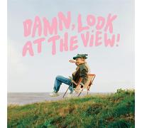 Damn Look At The View - Martin Luke Brown (Vinile)
