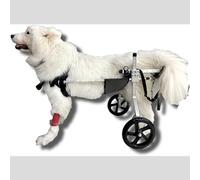 DAMOIFFP Carrozzina per Cani con Supporto Completo per Le Gambe Posteriori, Carrello per Animali Leggero Regolabile a 2 Ruote per Riabilitazione Sportiva, Sedia a rotelle per Animali di PIC
