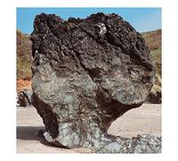 the nearer the fountain. more pure the stream flows