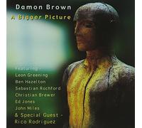 Damon Brown - A Bigger Picture