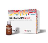 DAMOR Cerebrain Forte Integratore Alimentare con Colina Bitartrato 486 mg e Vitamina B12 - Normale Funzionamento del Sistema Nervoso - Riduzione di Stanchezza e Affaticamento, 12 Flaconcini da 15 ml