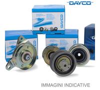 Damper Dayco DPV1098 Applicazione Ausiliaria per Auto/LCV Prodotto Originale