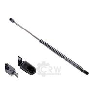 Dampers Porta Posteriore Doppio 494 Mm 500 N JOHNS Per VW Tiguan 5N