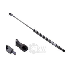 Dampers Posteriore Doppio 482 Mm 735 N JOHNS Per Renault Megane III
