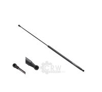 Dampers Posteriore Doppio 830 Mm 560 N JOHNS Per Renault Kangoo/Grand