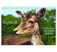 Damwild - stolze Tiere des Waldes hautnah (Tischkalender 2026 DIN A5 quer), CALVENDO Monatskalender: Damwild in allen Lebenslagen beobachten Sie hier