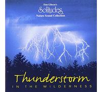 Dan Gibson - Thunderstorm In Wilderness