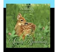 Dan Gibson's Solitudes - Spring Awakening