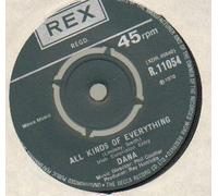 DANA - DANA - ALL KINDS OF EVERYTHING - 7 inch vinyl / 45