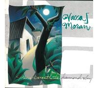 Dance beneath the diamond sky