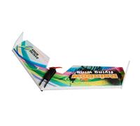 Dancing Wings Hobby E0511 Arcobaleno Flying Wing V2 RC Aereo 800mm Apertura alare Delta Wing Tail-pusher Aircraft KIT