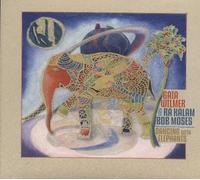 dancing with elephants