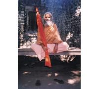 Dandi Swami: The Story of the Guru's Will - Mason Paul