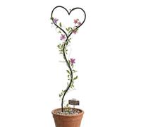DanDiBo Supporto per rampicante in metallo, 150 cm, spina da pavimento, a forma di cuore, da giardino, per rampicanti, piante rampicanti, piante rampicanti, piante rampicanti, giardino, fiori, spina a