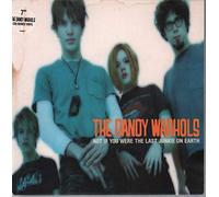 Dandy Warhols, The - Not If You Were the L..