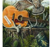 Dandy Warhols - This Machine - Cd