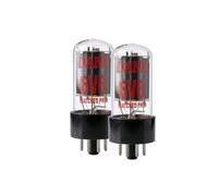 DANE 6V6 - Coppia Selezionata di Valvole Finali per Amplificatore | Selezionate per prestazioni costanti e ideali per Dane Tube 15, Tube 5 e altri amplificatori compatibili con valvole 6V6.