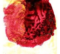 Dane Ts Hawk & His Jazz Festsemble - Hear We Go