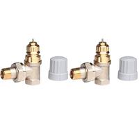 Danfoss 013G0001 Valvola Termostatica Ra-Fn 10, Grigio, 3/8" (Confezione da 2)