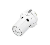 Danfoss Elemento Sensore Raw-K 5030 Built-In Sonda, M 30x1,5