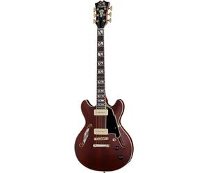 DAngelico Deluxe Mini DC Satin Trans Win